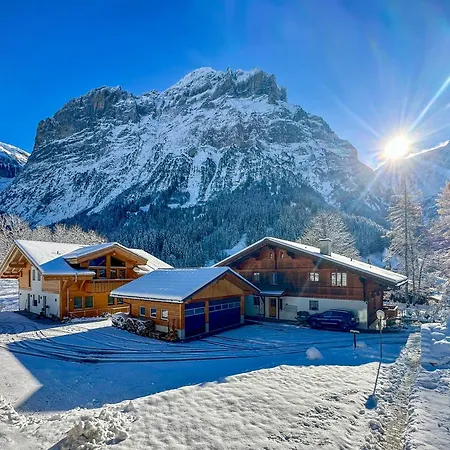 Chalet Ribi Grindelwald Exterior photo